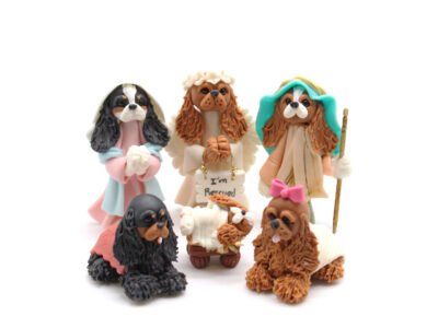 Cavalier King Charles Spaniel